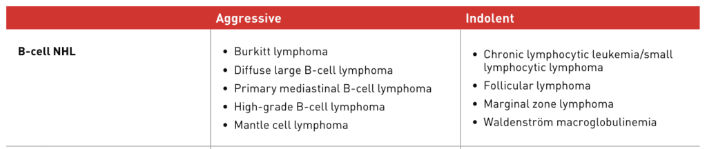 Common and Rare Types of B-cell Lymphoma 1 image1