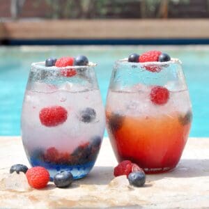 5 Mocktail Recipes to Celebrate Dry January 1 Berry Fresh Sparkler