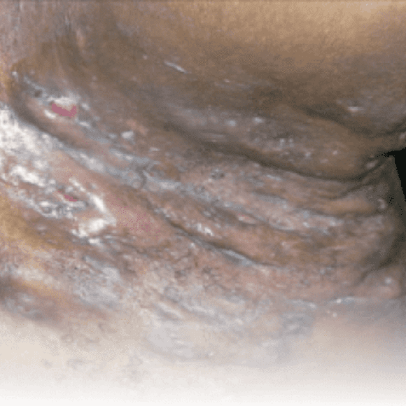 Screenshot 2024 10 28 at 5.21.41