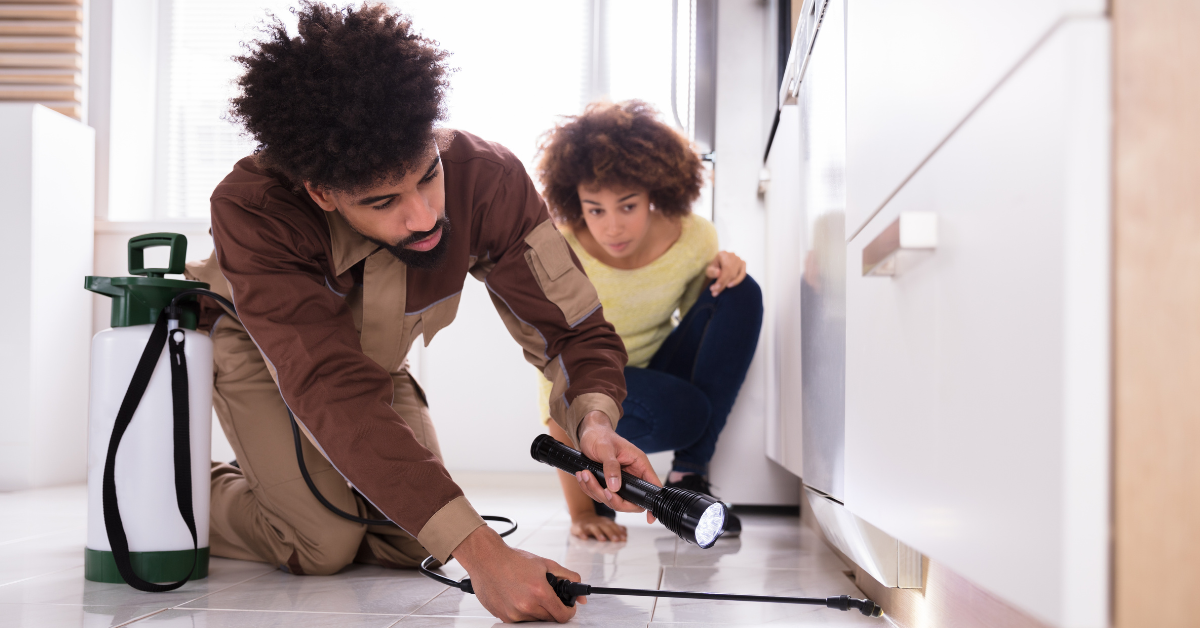 Young Black couple using a flashlight to check underneath their kitchen cabinets