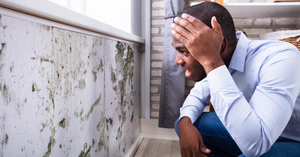 Young Black male looking at a moldy wall with a shocked expression