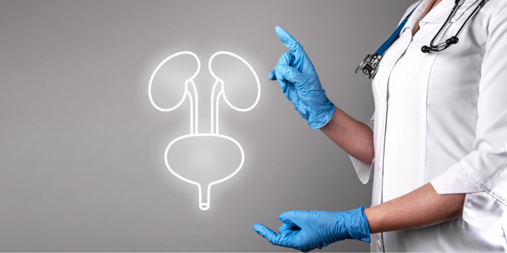 A healthcare professional in a white lab coat and blue medical gloves gestures toward a glowing white outline of the urinary system, including the kidneys and the bladder.